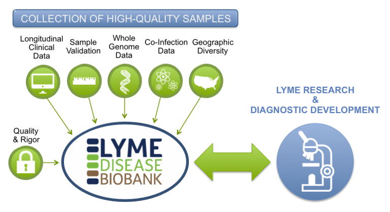 BioBank Infographic - Bay Area Lyme Foundation